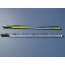 Mercury Clinical Thermometer Oral or Rectal